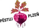 Zahradnick sout Pstuj Plze kon 30. ervna 2013.